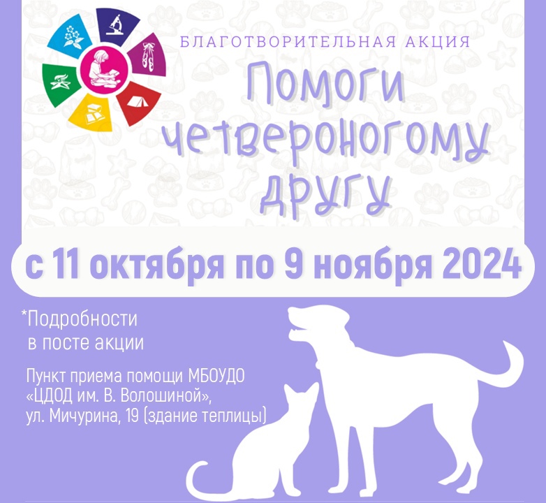 pomogi_chetveronogomu_drugu.jpg